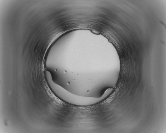 X0000097780900200803281659