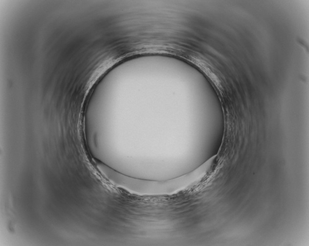 X0000097780901200803281659