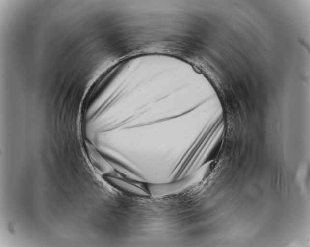 X0000097780902200803281659