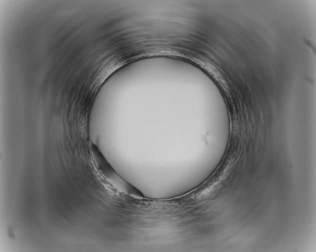 X0000097780905200803281659