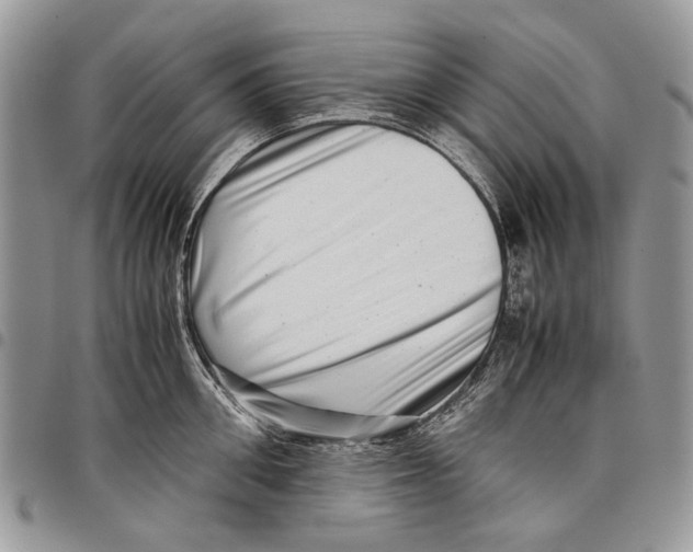 X0000097780906200803281659