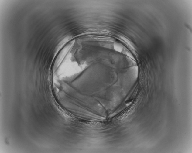 X0000097780907200803281659