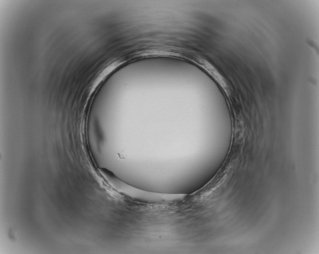 X0000097780909200803281659