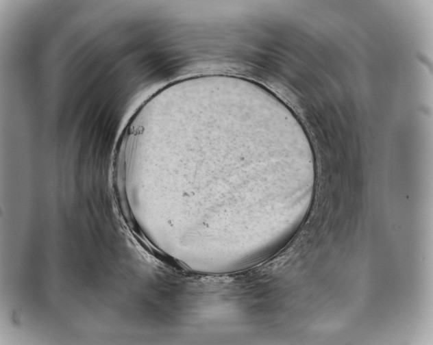 X0000097780912200803281659