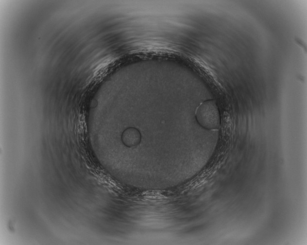 X0000097780918200803281658