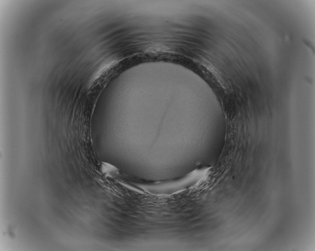 X0000097780919200803281658