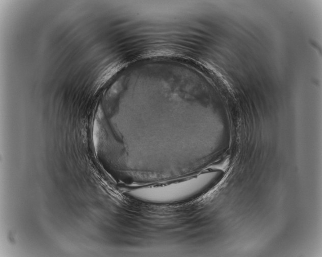 X0000097780921200803281658