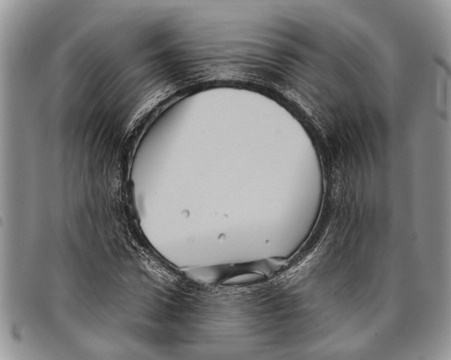 X0000097780922200803281658