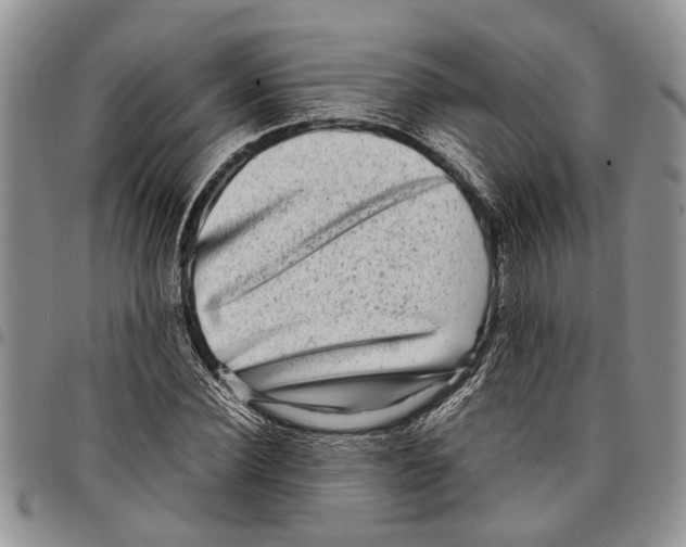 X0000097780924200803281658