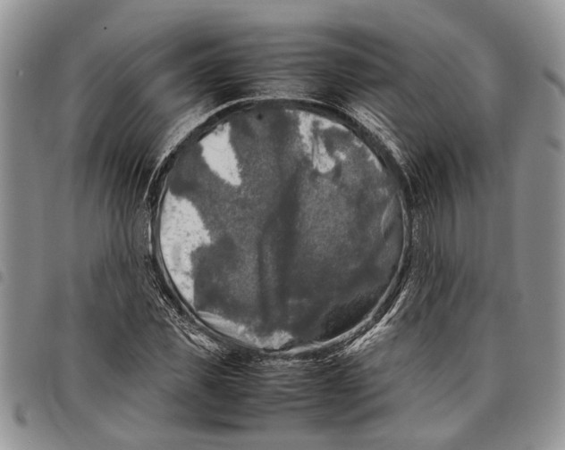 X0000097780925200803281658