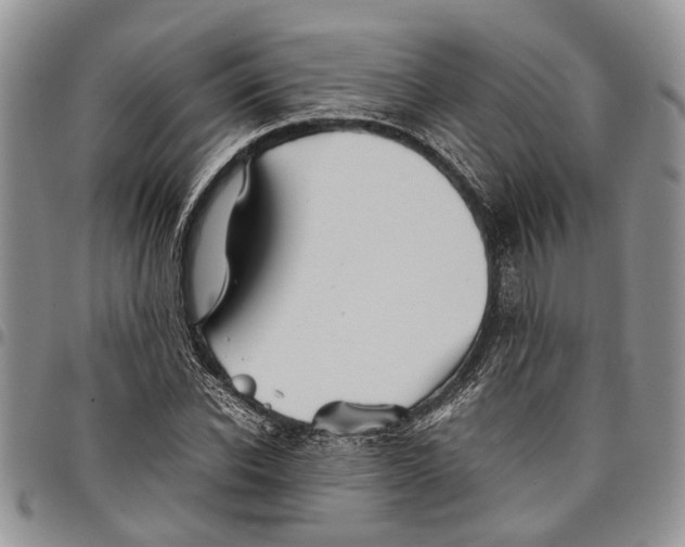 X0000097780926200803281658