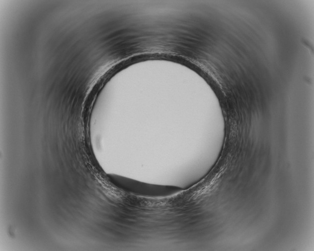 X0000097780927200803281658