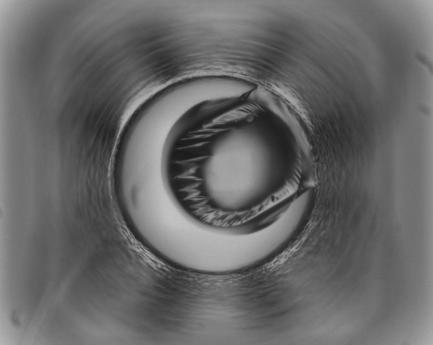 X0000097780928200803281658