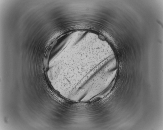 X0000097780930200803281658