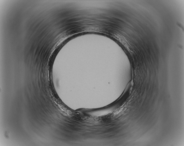 X0000097780931200803281658