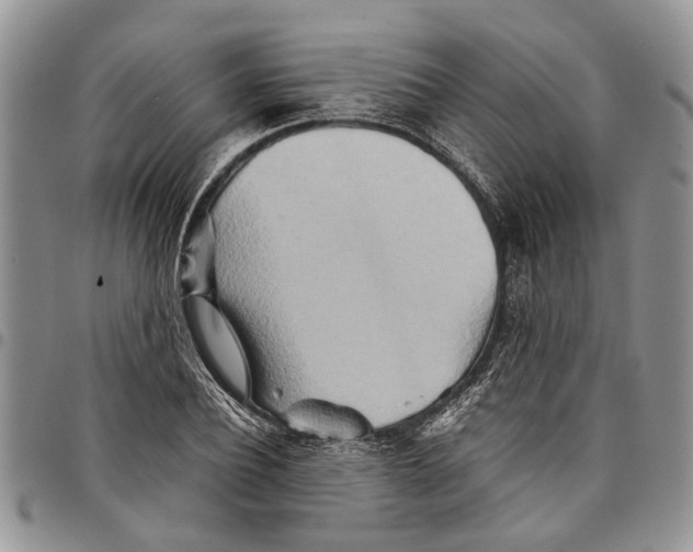 X0000097780932200803281658