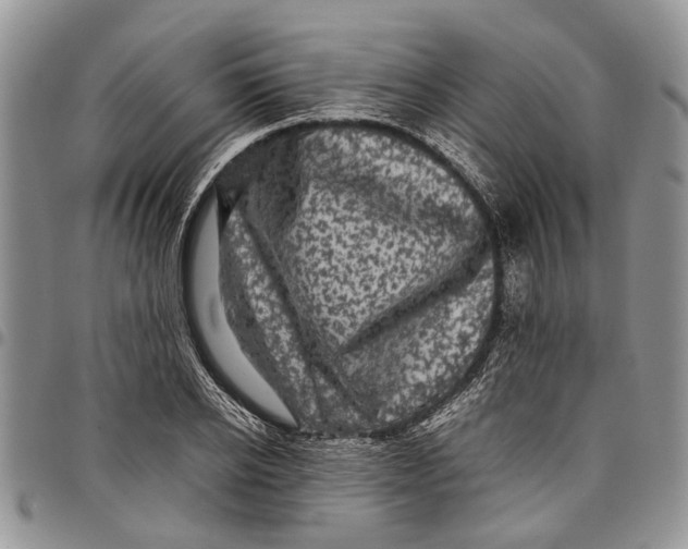 X0000097780934200803281658