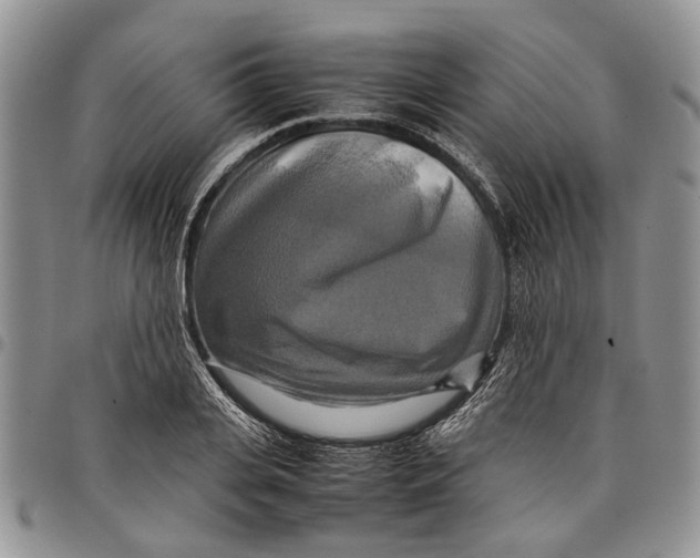 X0000097780935200803281658