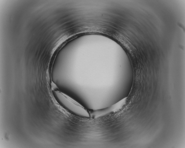 X0000097780936200803281658