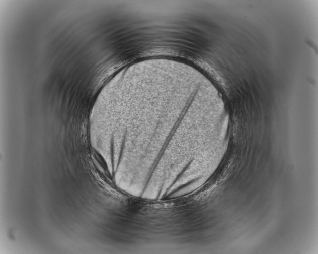 X0000097780937200803281658