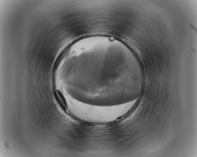 X0000097780941200803281658