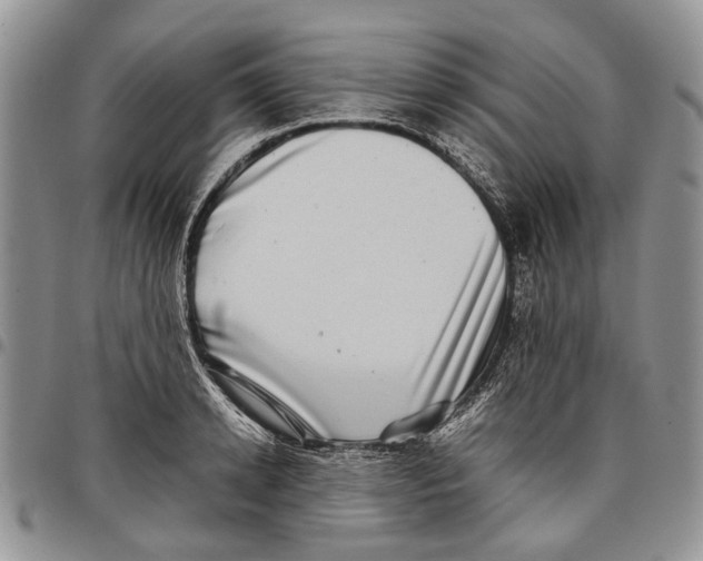 X0000097780942200803281658