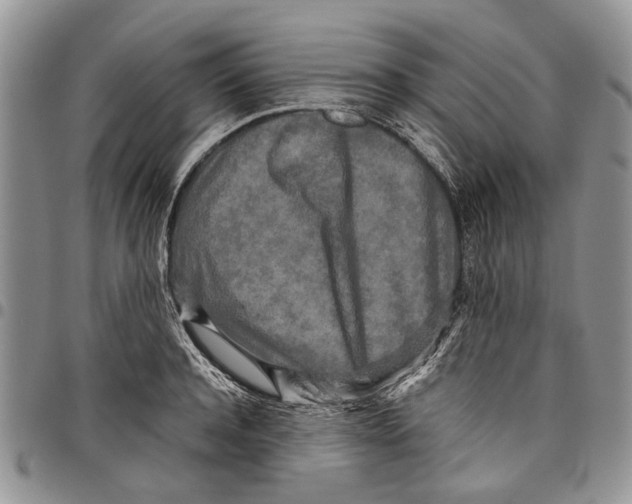 X0000097780944200803281659