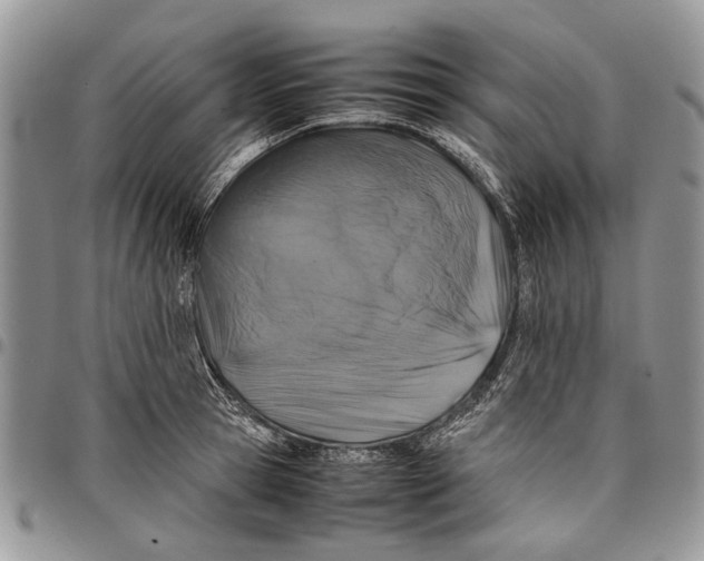 X0000097780945200803281659