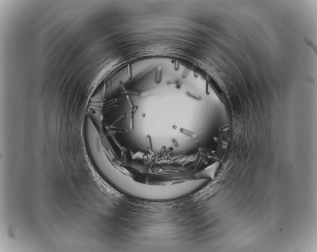 X0000097780946200803281659