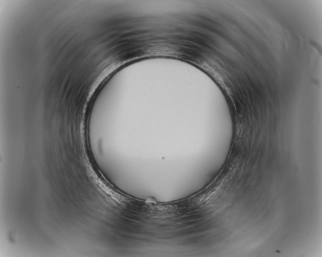 X0000097780947200803281659