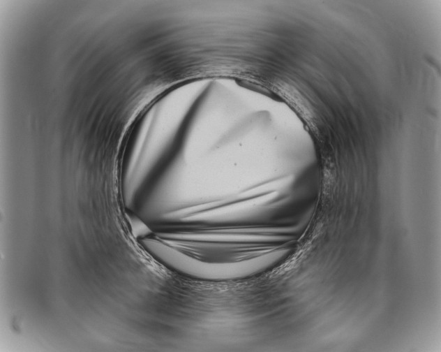 X0000097780948200803281659