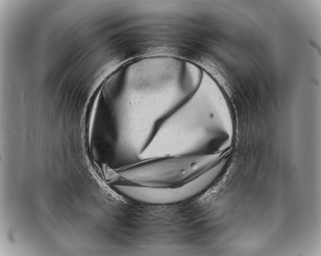 X0000097780949200803281659