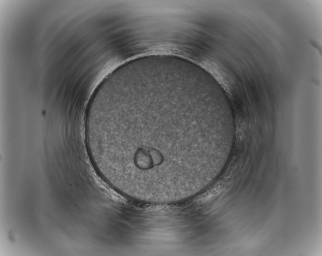 X0000097780950200803281659