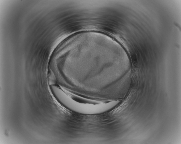 X0000097780951200803281659