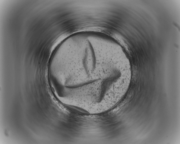 X0000097780952200803281659