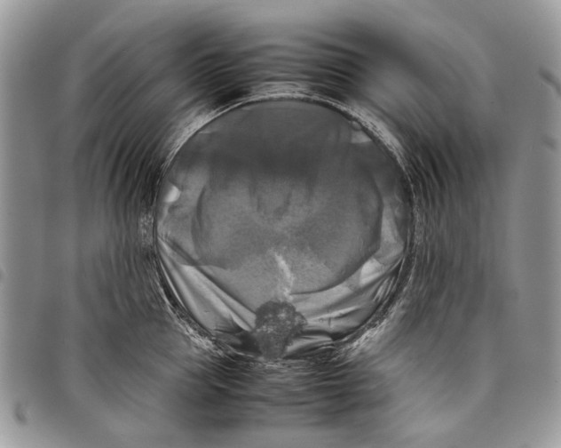 X0000097780953200803281659