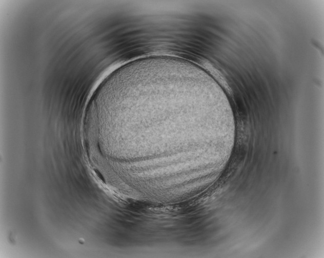 X0000097780955200803281659