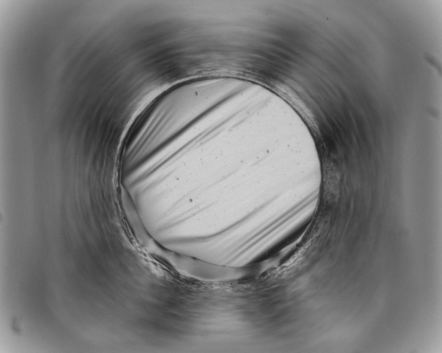 X0000097780956200803281659