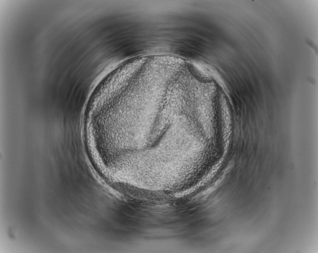 X0000097780957200803281659