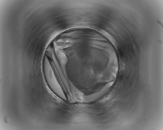 X0000097780958200803281659