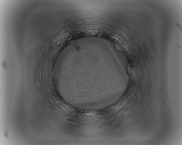 X0000097780961200803281658