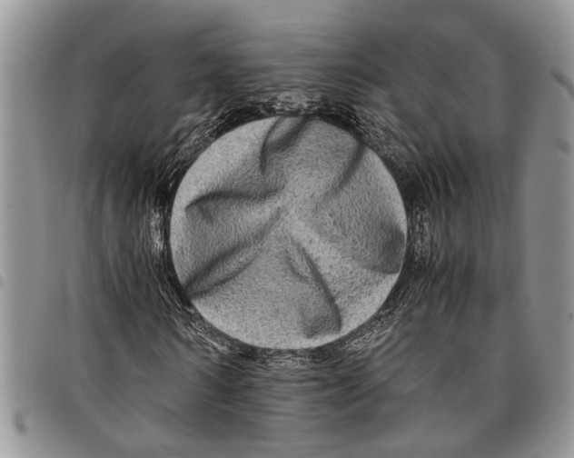 X0000097780962200803281658