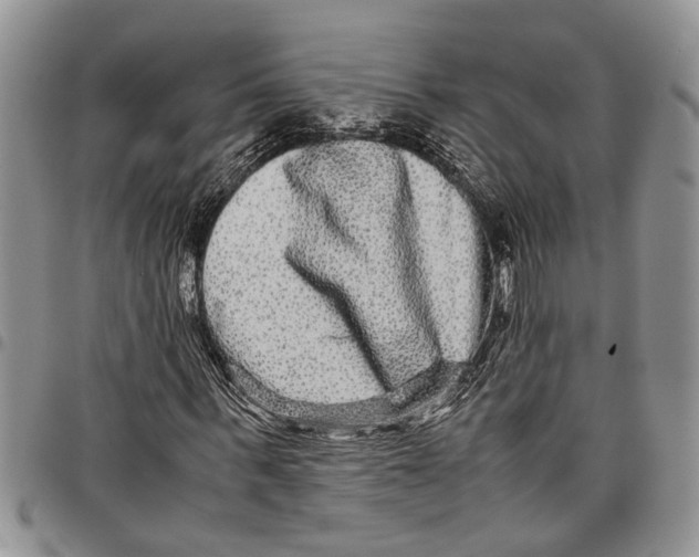 X0000097780963200803281658