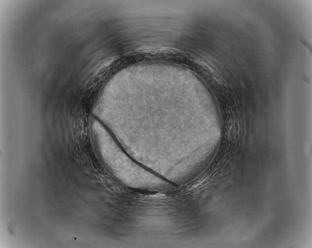 X0000097780966200803281658