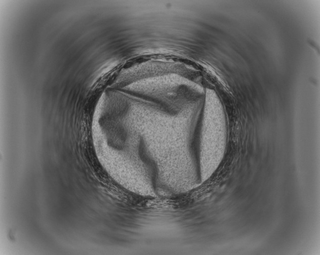 X0000097780967200803281658