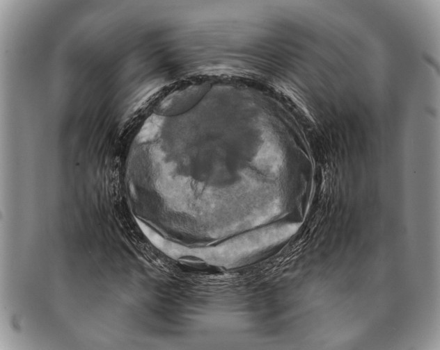 X0000097780968200803281658