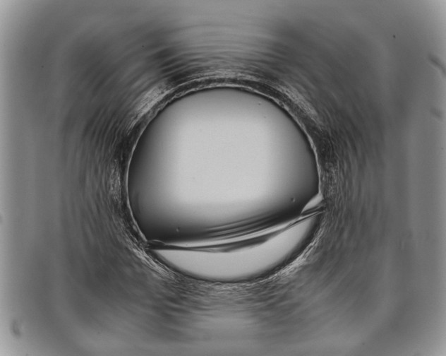 X0000097780969200803281658