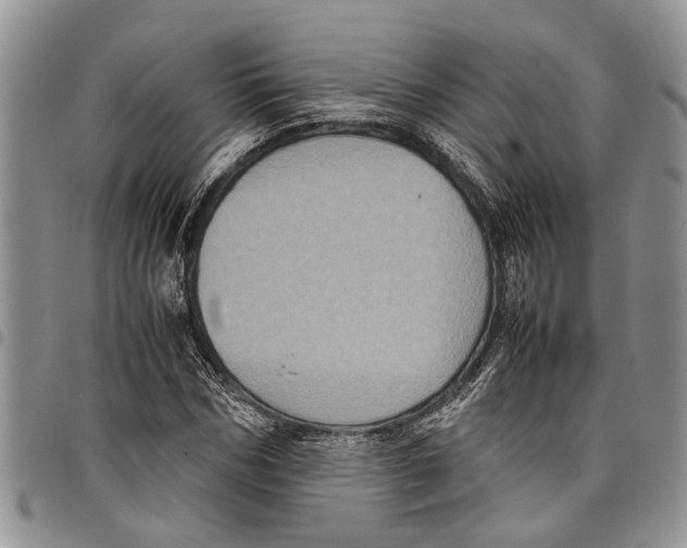 X0000097780970200803281658