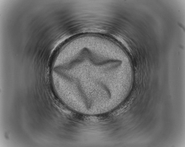 X0000097780971200803281658