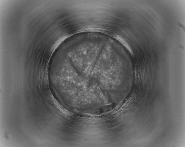 X0000097780972200803281658